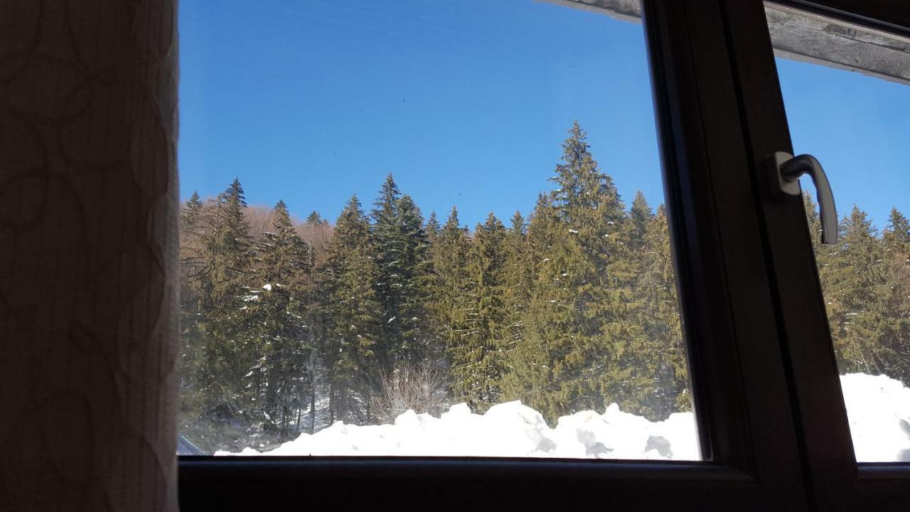 Apartament Andra Poiana Brasov Buitenkant foto