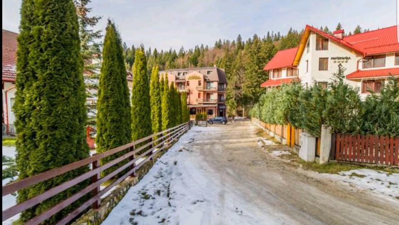 Apartament Andra Poiana Brasov Buitenkant foto